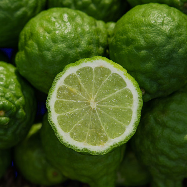 Calabrian Bergamot