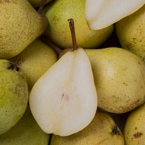 PEAR