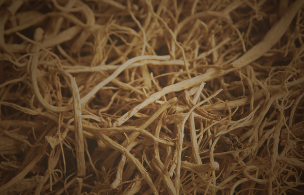 Vetiver